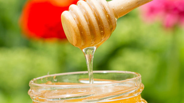 10 Powerful Benefits of Royal Jelly