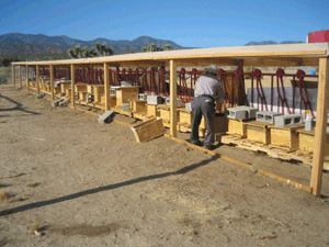 Bee Farm in Warm Sunny Southern California