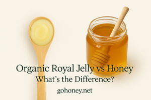 Royal Jelly vs Honey: What’s the Difference and Which Should You Use?