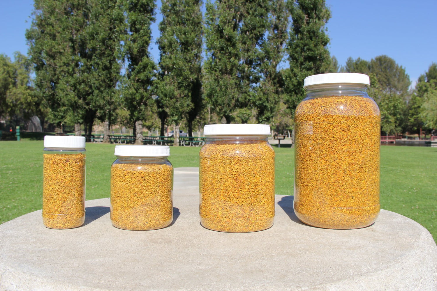 Beepollen - 100% PURE NATURAL BEE POLLEN GRANULES