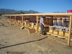 Person standing next to a row of wooden crates with mountains in the background
