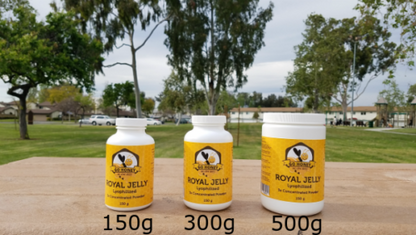 Royal Jelly Powder - Freeze Dried 10-HAD 6% 3X Concentration
